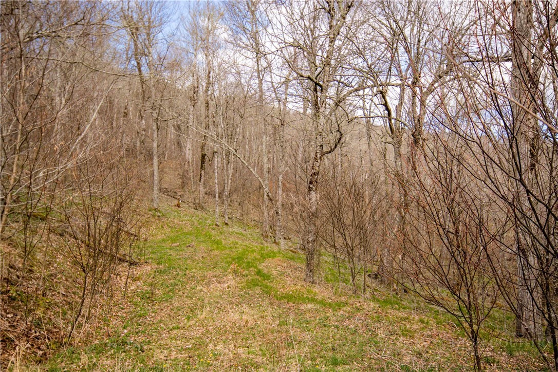 Image number 10 for the current listing
