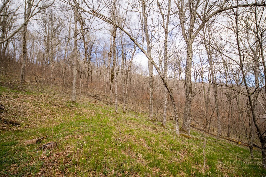 Image number 11 for the current listing
