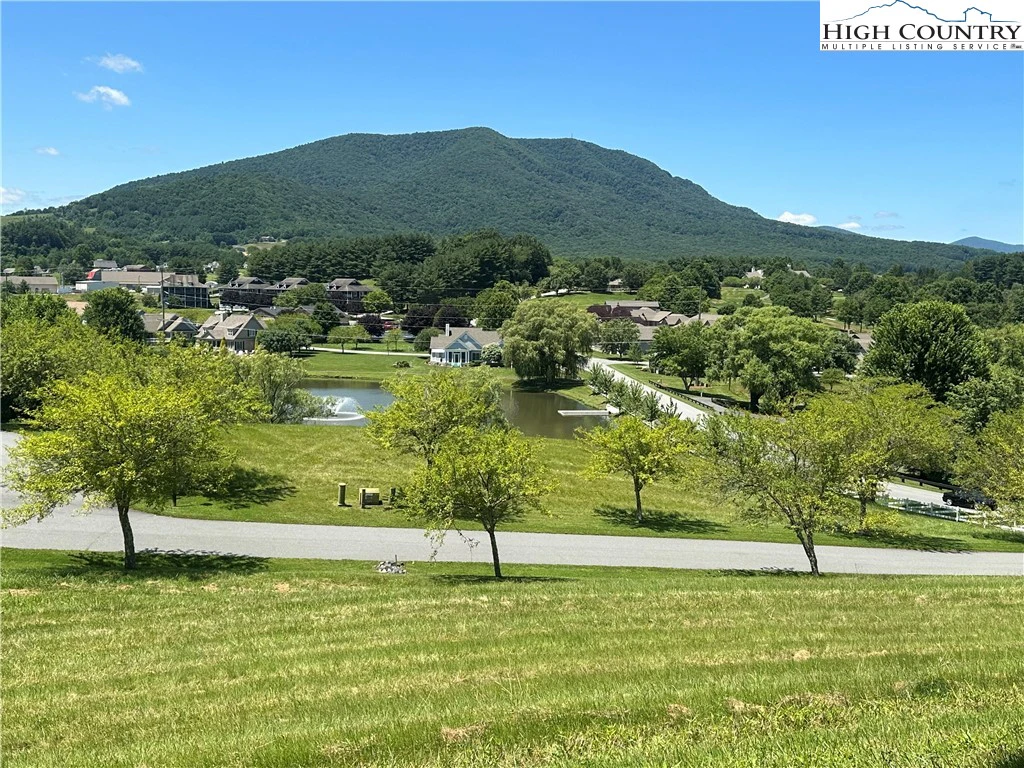 Image number 1 for the current listing