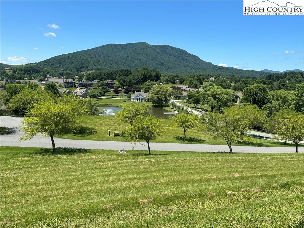 Image number 3 for the current listing