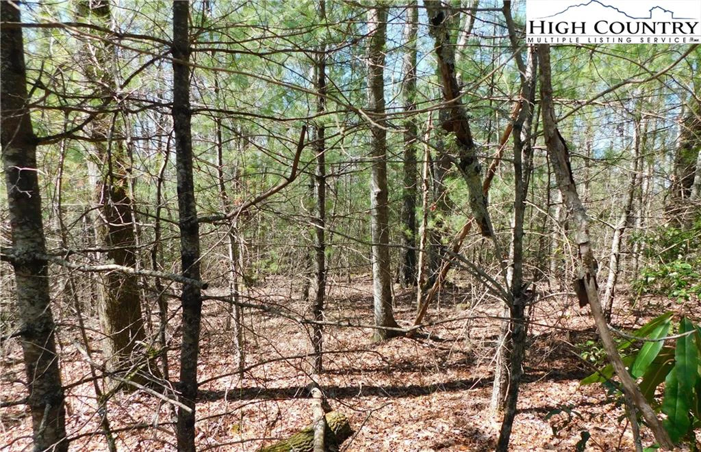 Image number 3 for the current listing