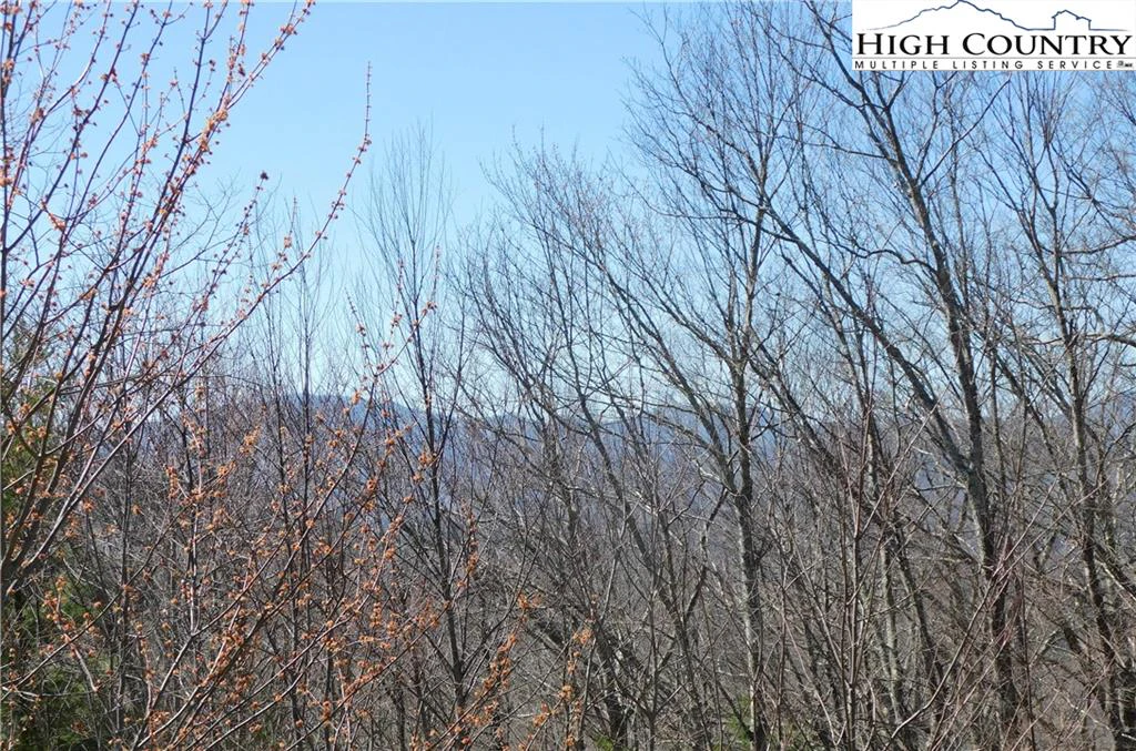 Image number 4 for the current listing