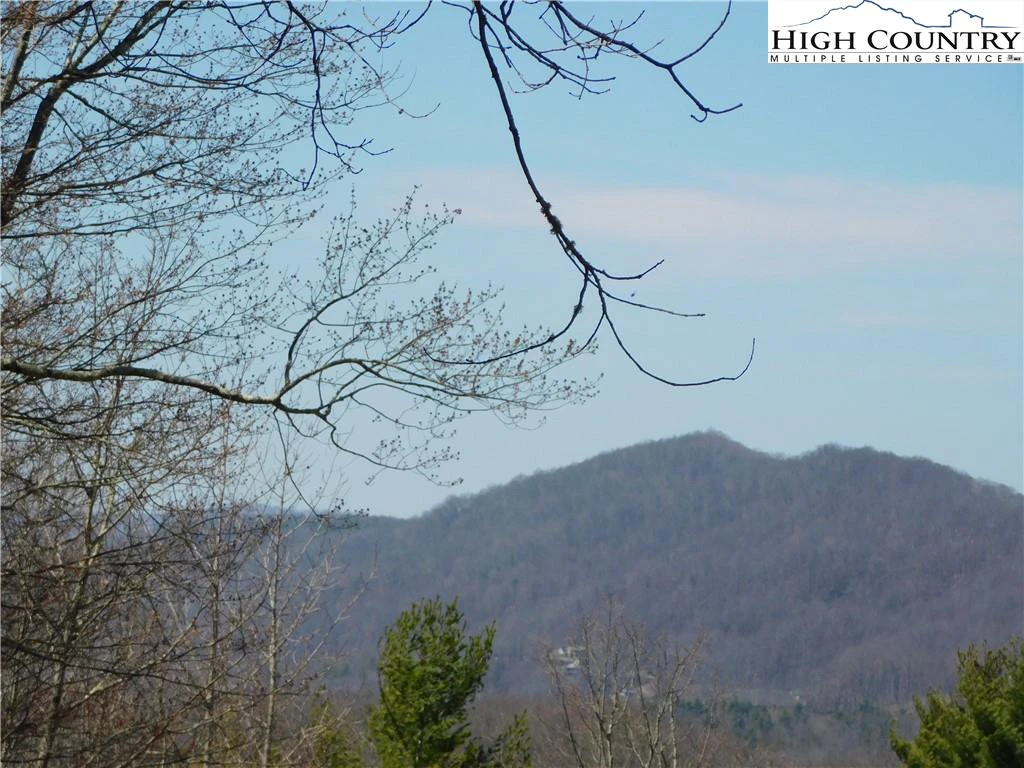 Image number 5 for the current listing