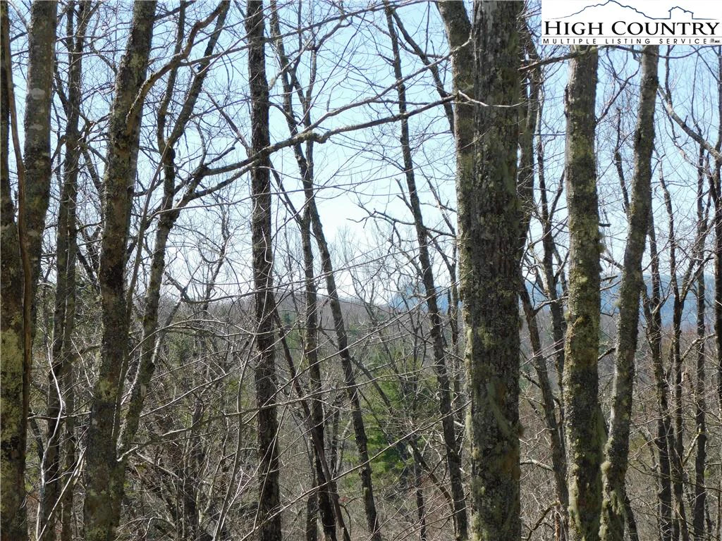 Image number 10 for the current listing