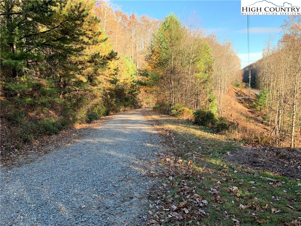 Image number 5 for the current listing