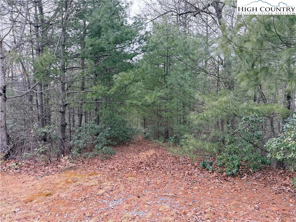 Image number 18 for the current listing