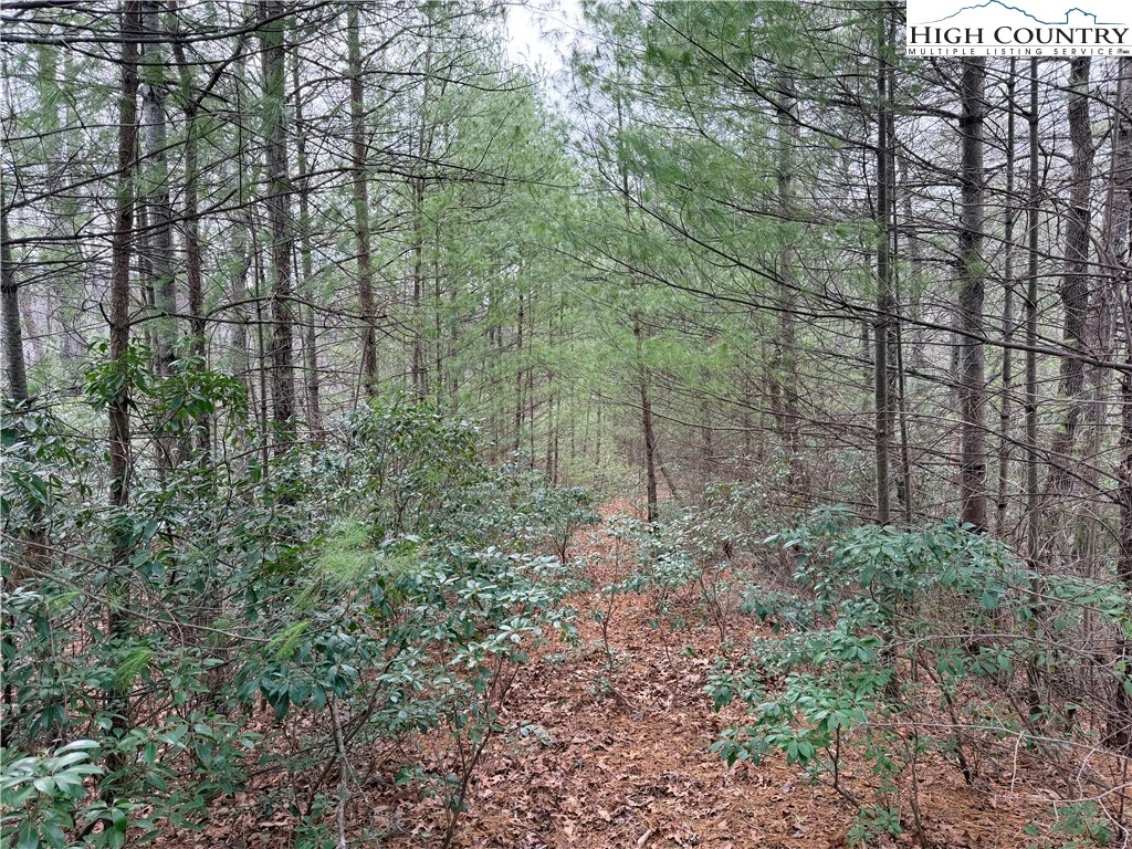 Image number 12 for the current listing