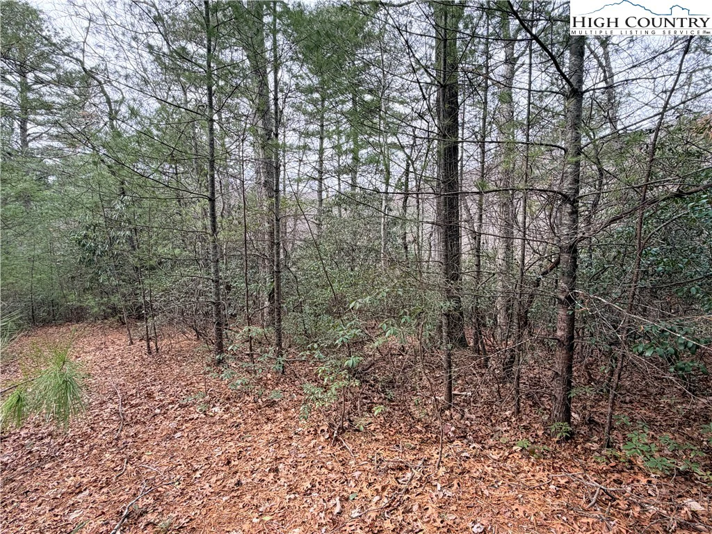 Image number 11 for the current listing