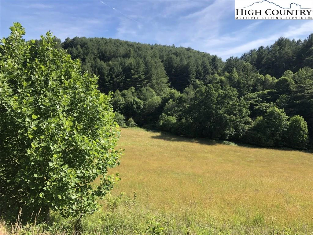 Image number 1 for the current listing