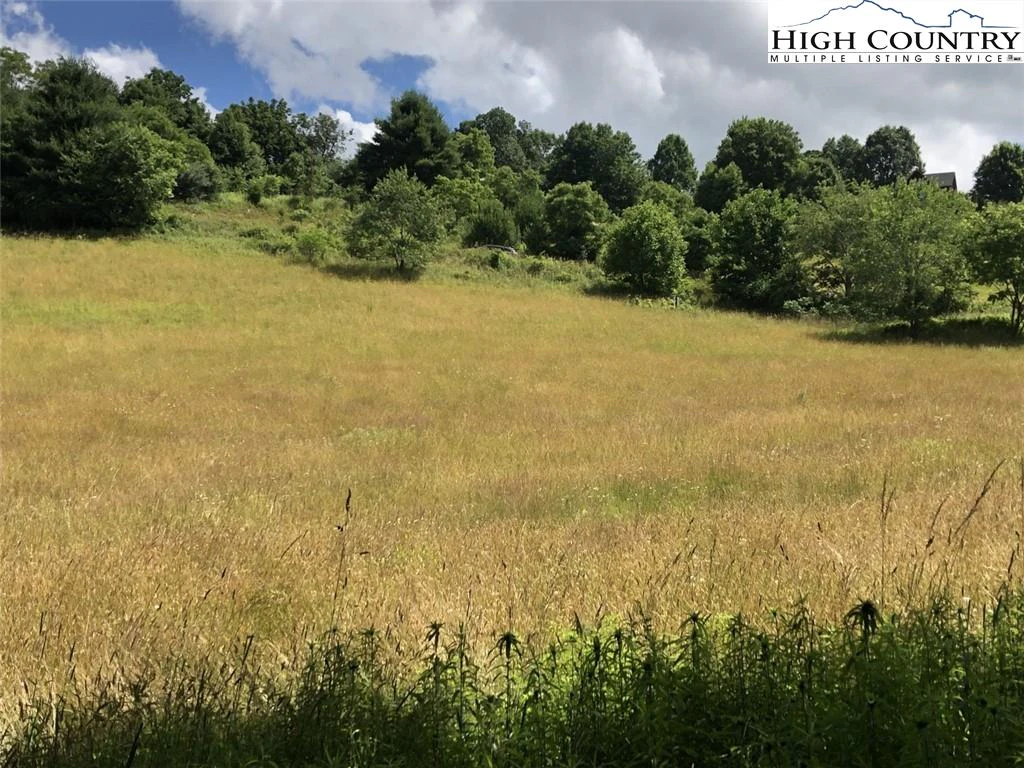 Image number 3 for the current listing