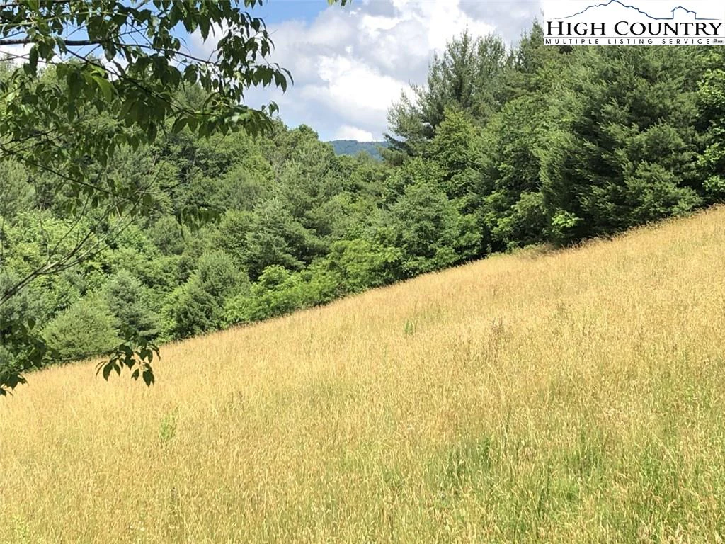 Image number 7 for the current listing