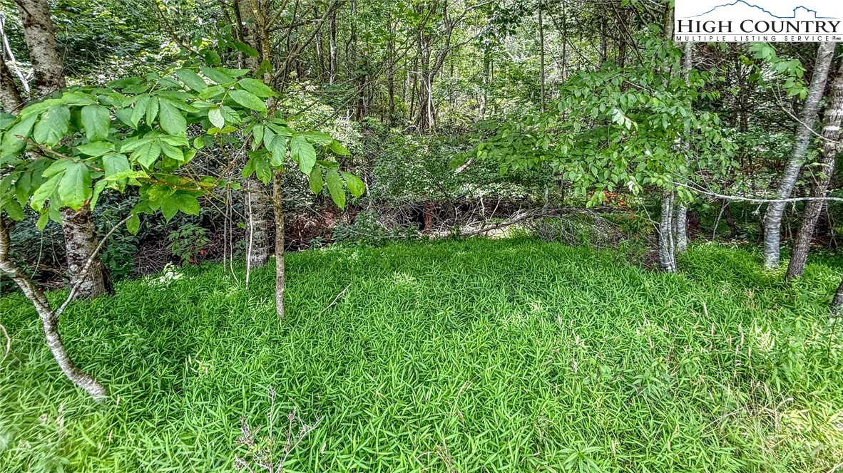 Image number 14 for the current listing