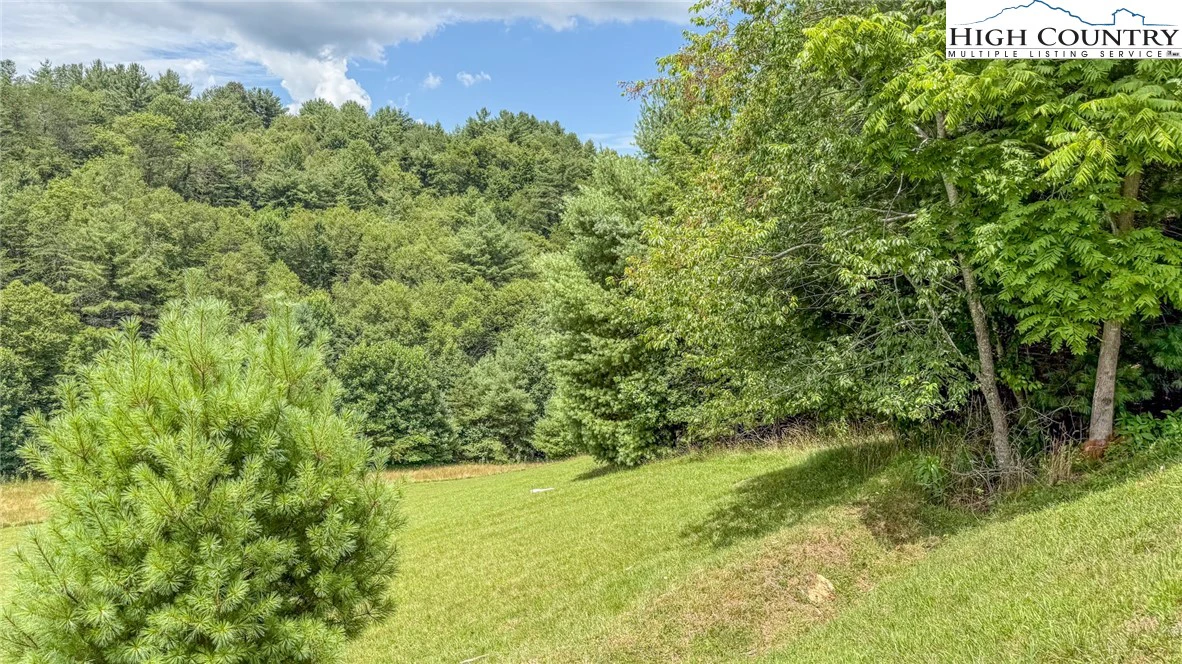 Image number 13 for the current listing