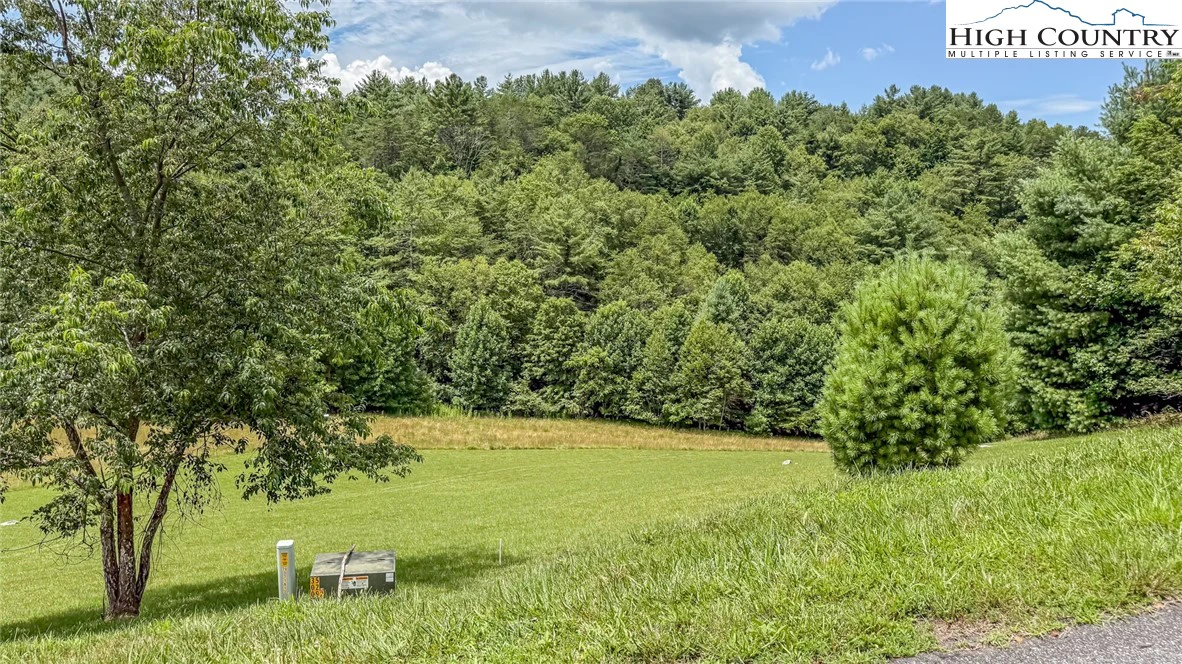 Image number 12 for the current listing
