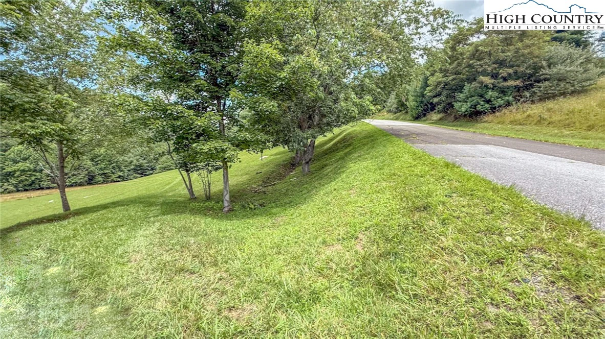 Image number 11 for the current listing