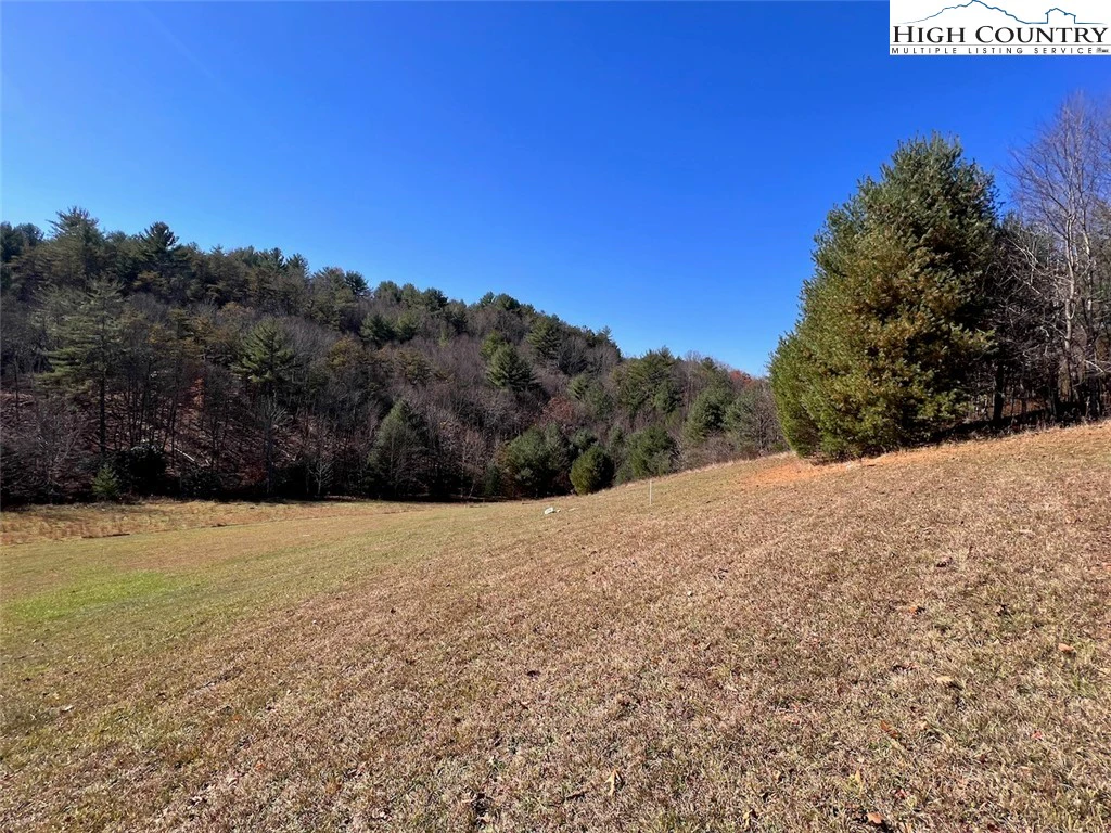 Image number 6 for the current listing