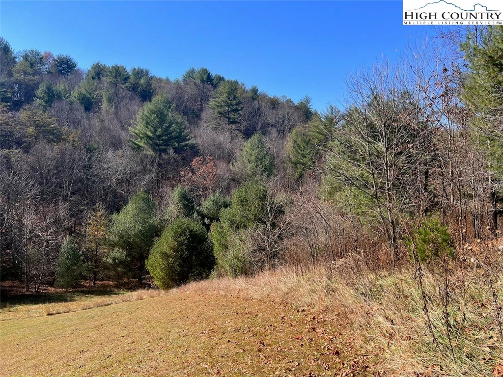 Image number 7 for the current listing