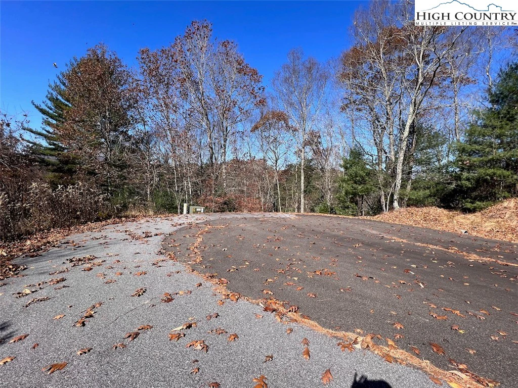 Image number 11 for the current listing