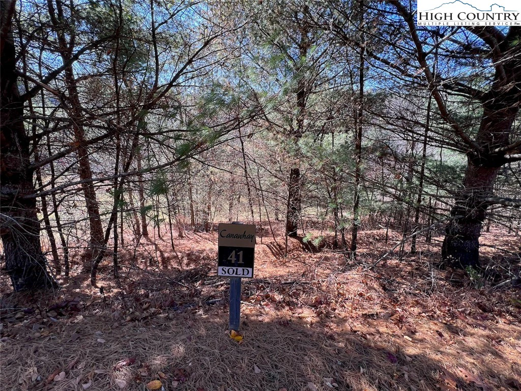 Image number 19 for the current listing