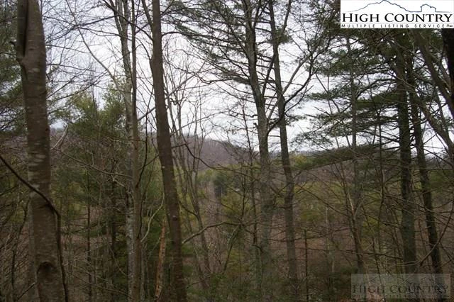 Image number 1 for the current listing