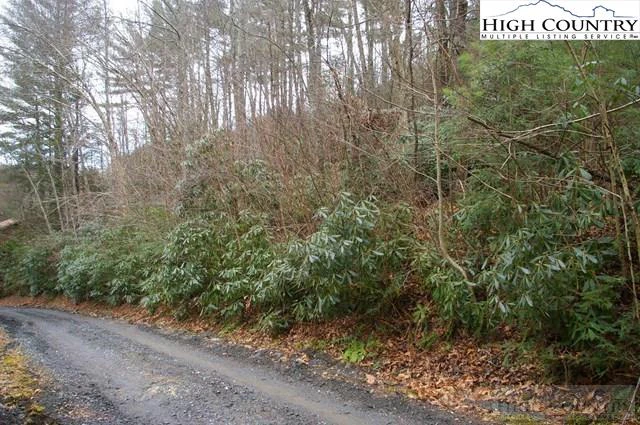Image number 3 for the current listing