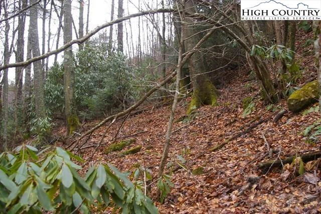 Image number 5 for the current listing