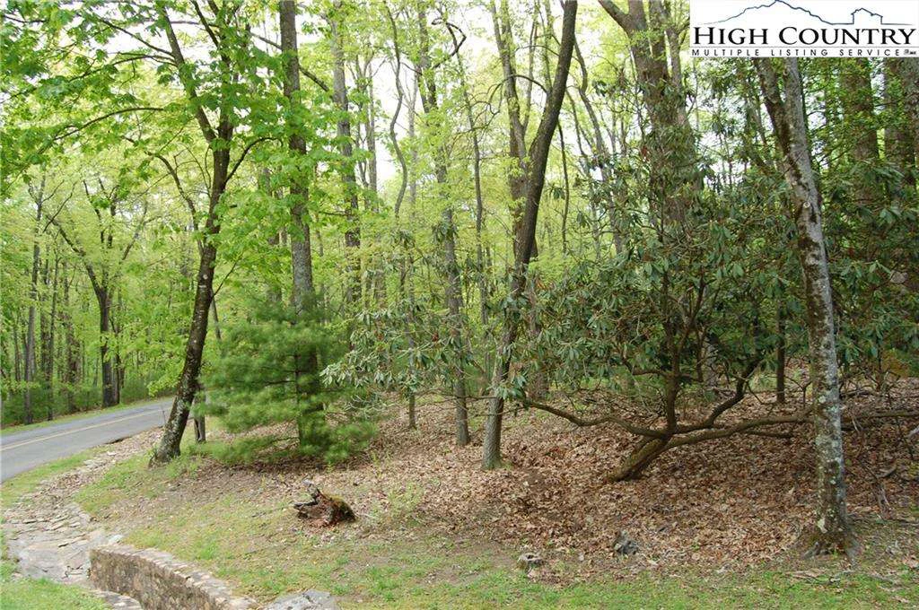 Image number 3 for the current listing