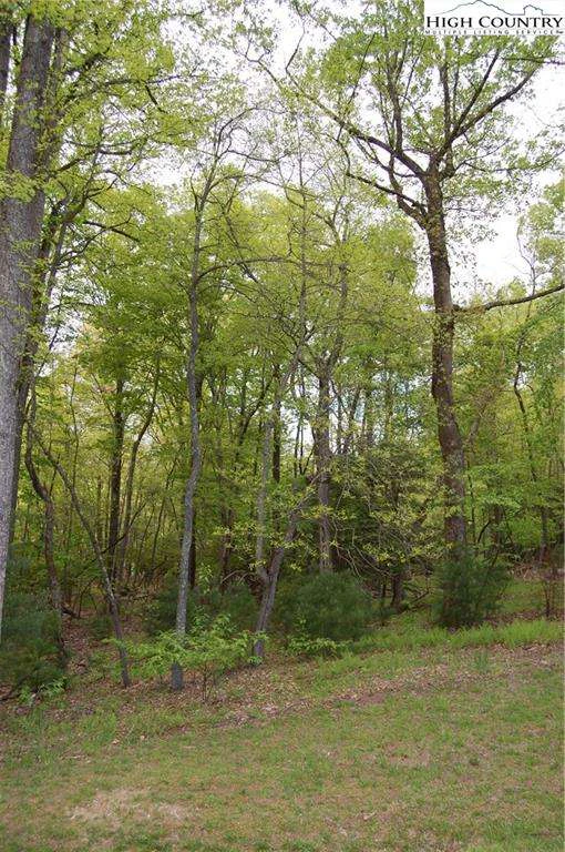 Image number 4 for the current listing