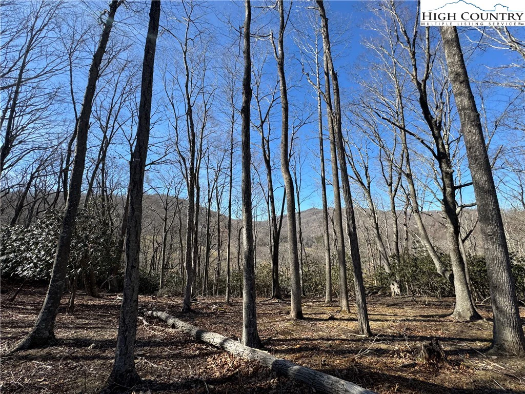 Image number 11 for the current listing