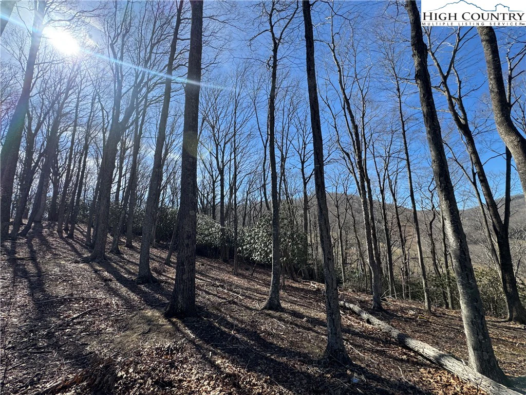 Image number 2 for the current listing