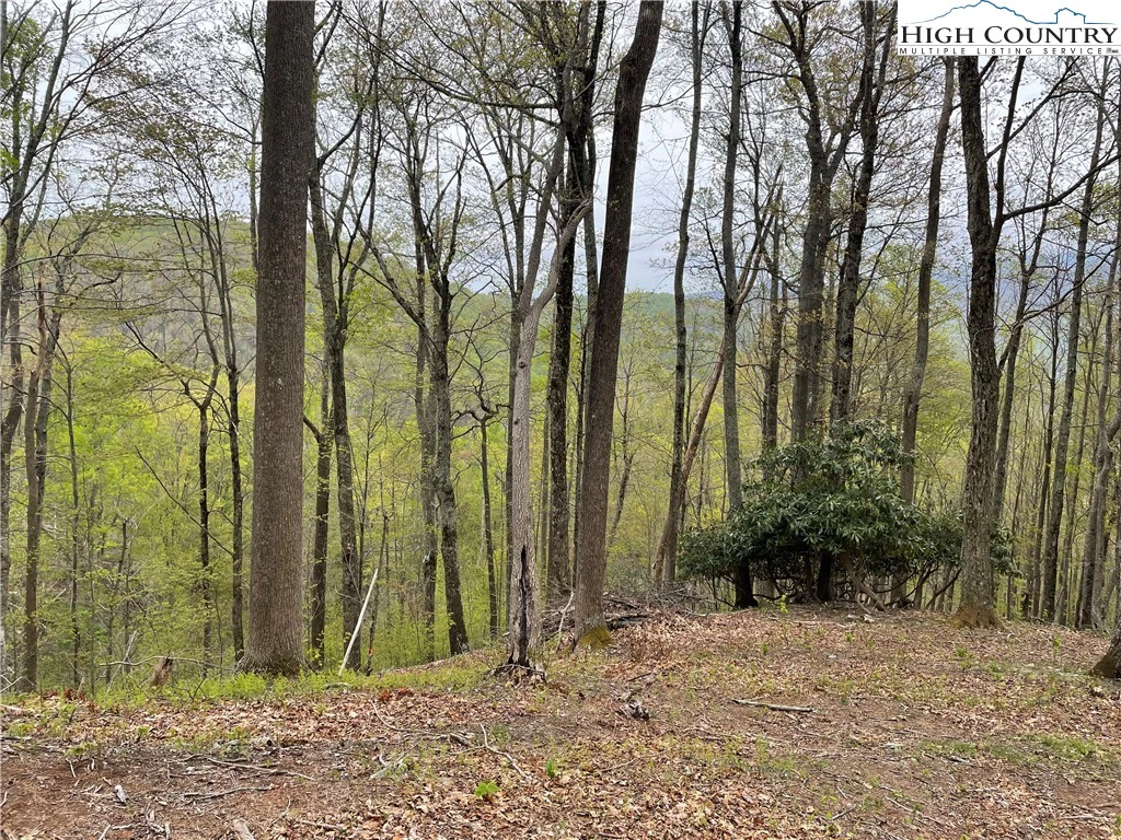 Image number 5 for the current listing