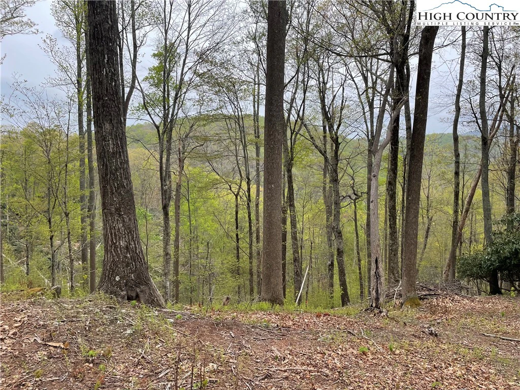 Image number 3 for the current listing
