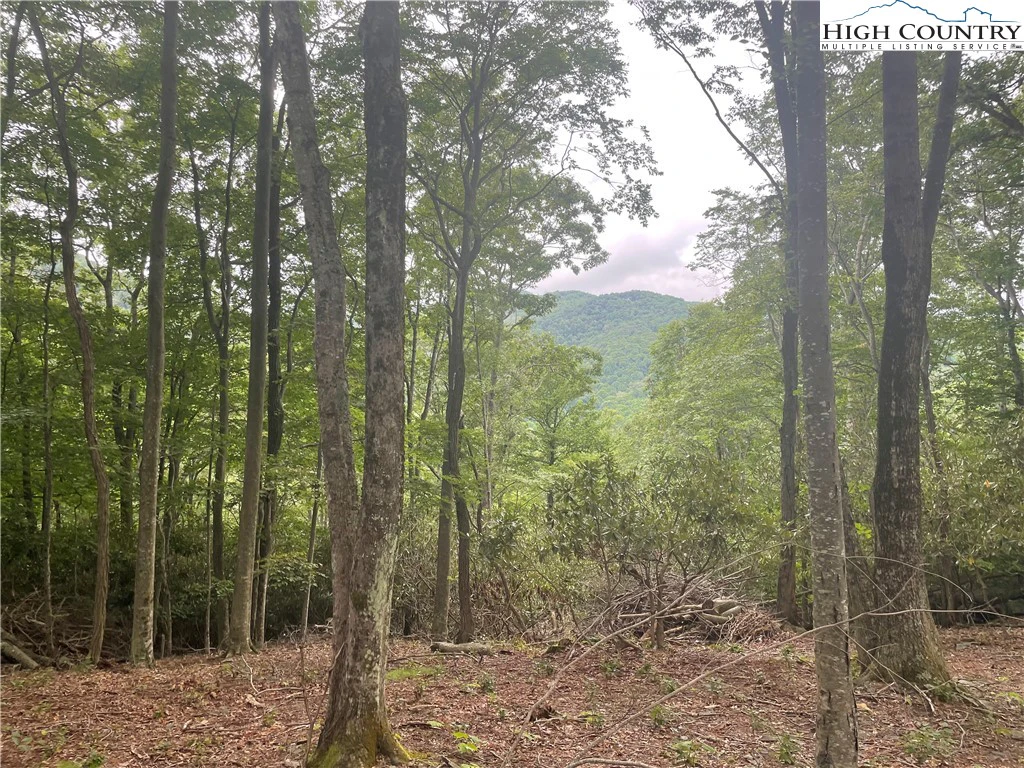 Image number 14 for the current listing