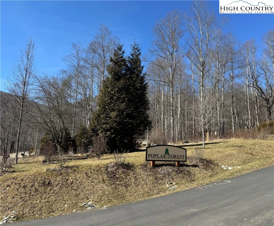 Image number 1 for the current listing