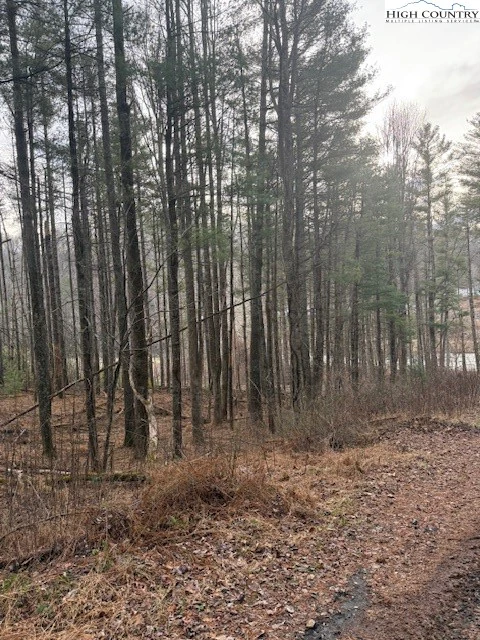 Image number 1 for the current listing