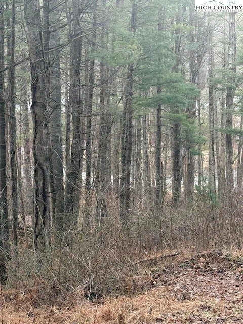 Image number 3 for the current listing