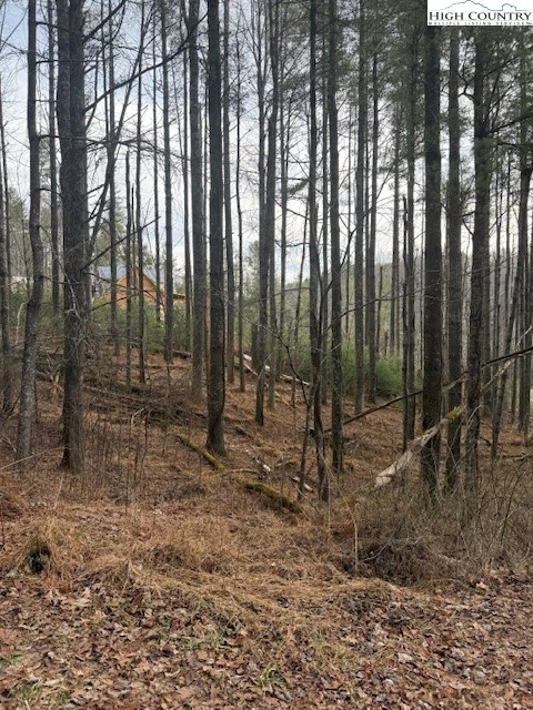Image number 4 for the current listing