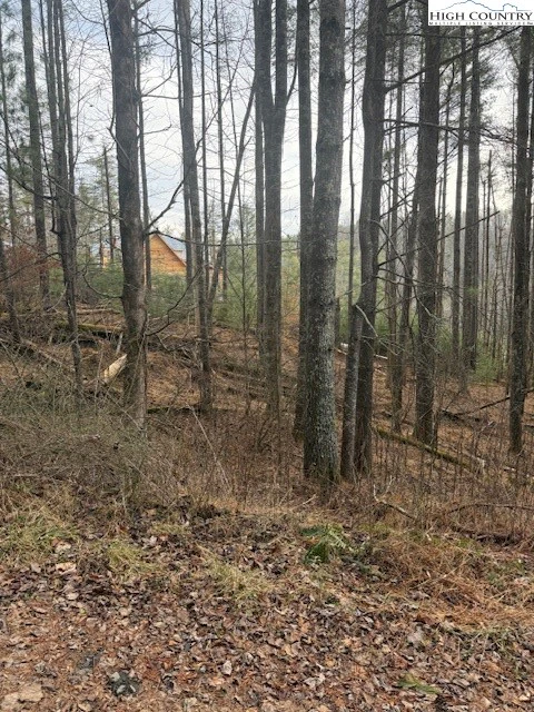 Image number 5 for the current listing