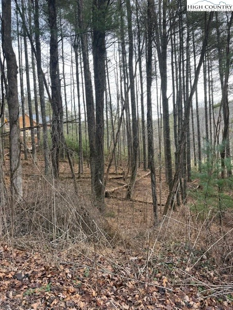 Image number 6 for the current listing