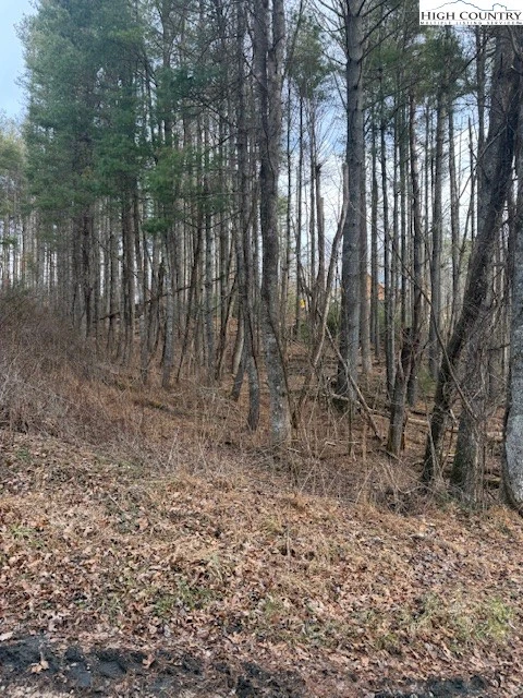 Image number 7 for the current listing