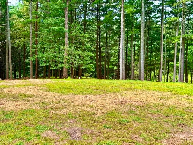 Image number 1 for the current listing