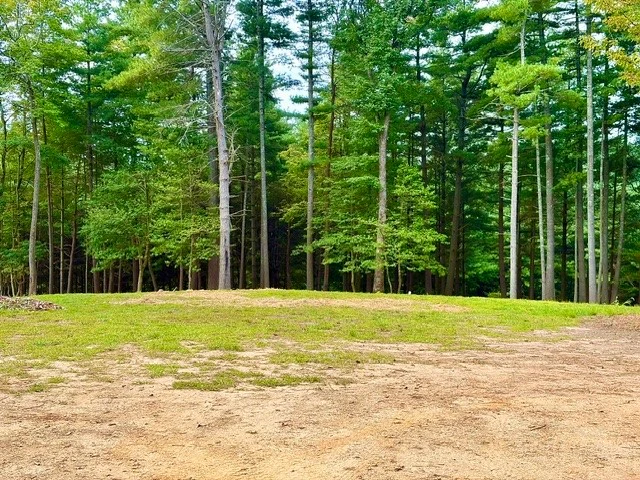 Image number 2 for the current listing