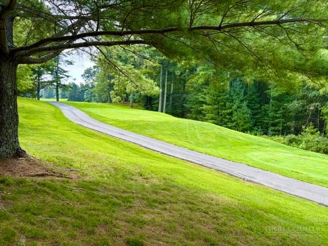 Image number 3 for the current listing