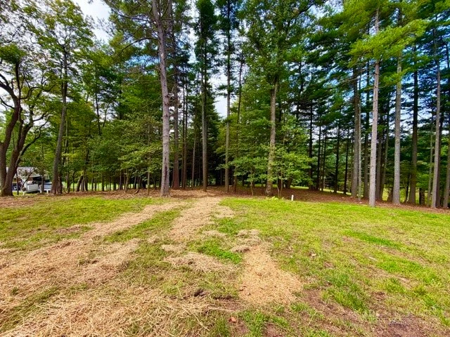 Image number 4 for the current listing