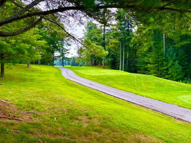 Image number 6 for the current listing