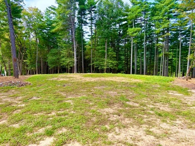 Image number 7 for the current listing