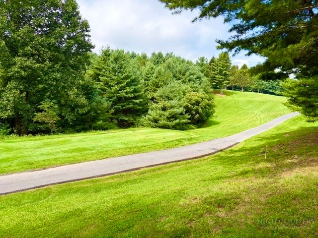 Image number 8 for the current listing