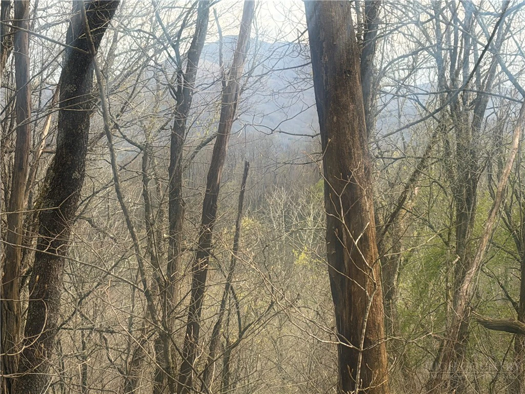 Image number 1 for the current listing