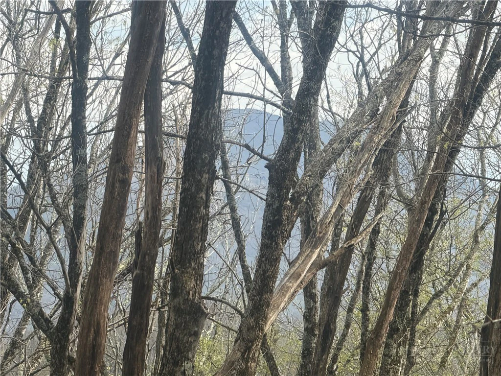 Image number 16 for the current listing