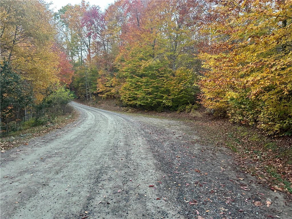 Image number 10 for the current listing